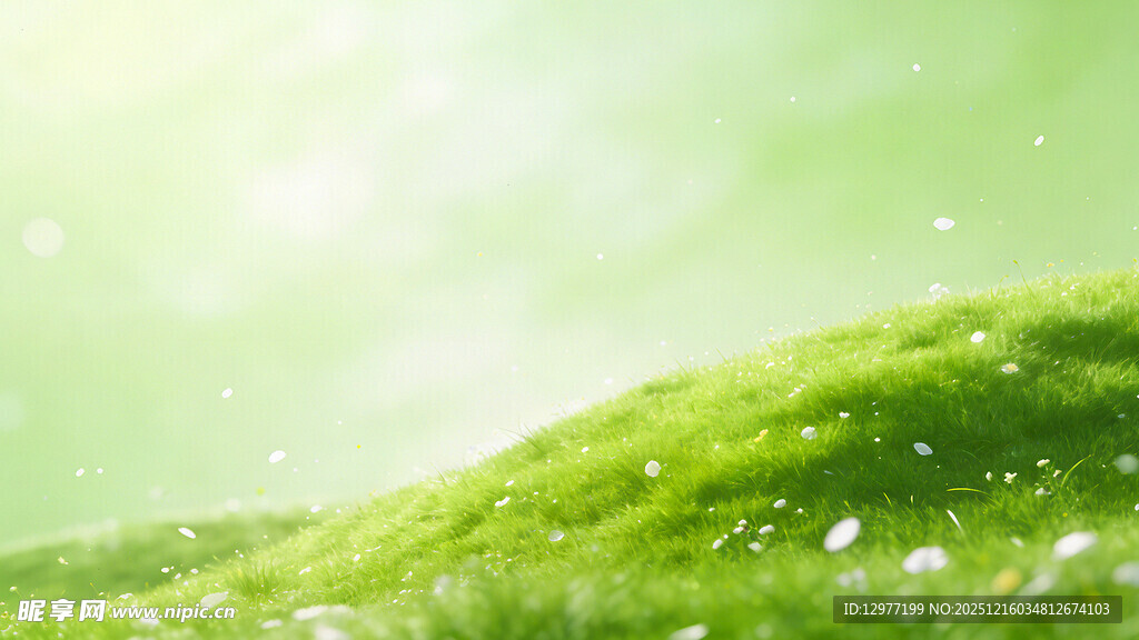 翠绿草地 阳光洒落的美景