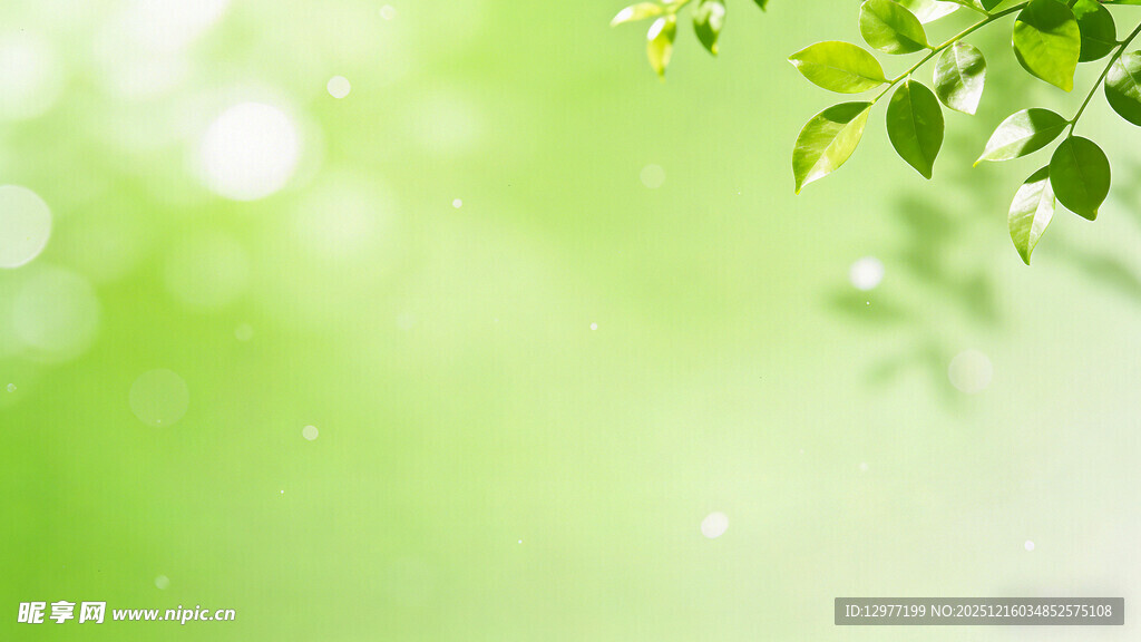 清新绿叶背景图