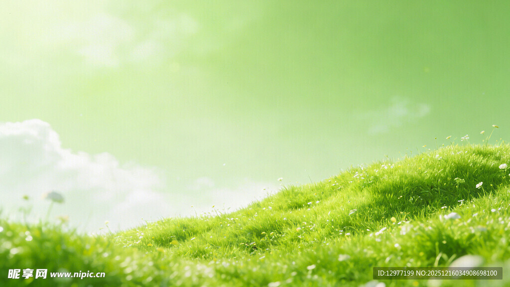 翠绿山坡 阳光洒落美景