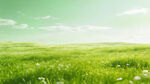 绿色草原 清新自然风景