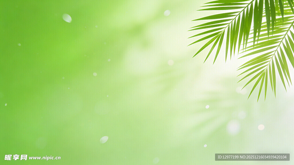 清新绿色棕榈叶背景图