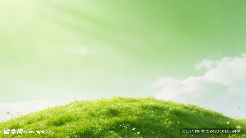 绿意盎然的阳光山坡