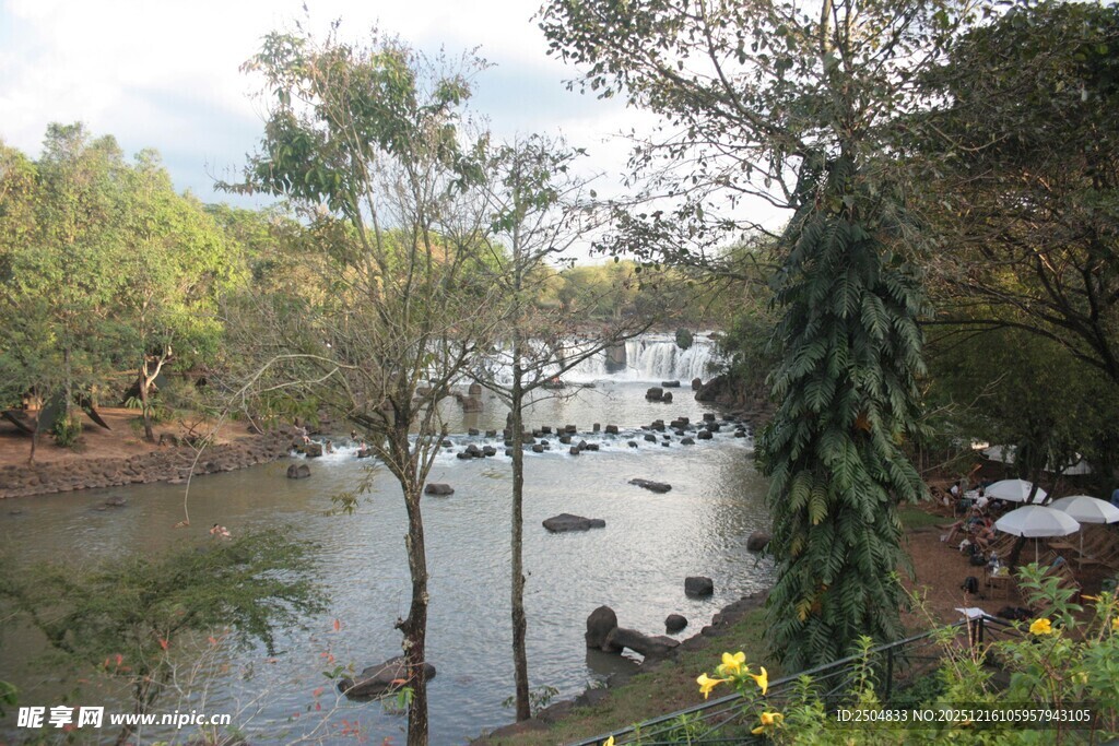 河畔绿树环绕的静谧风光