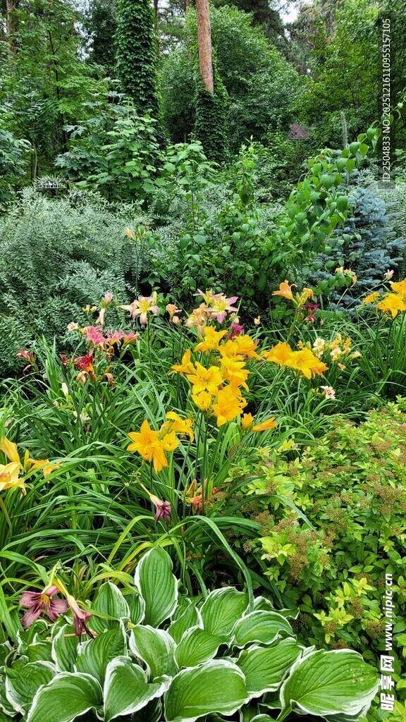多彩花卉绿植景观