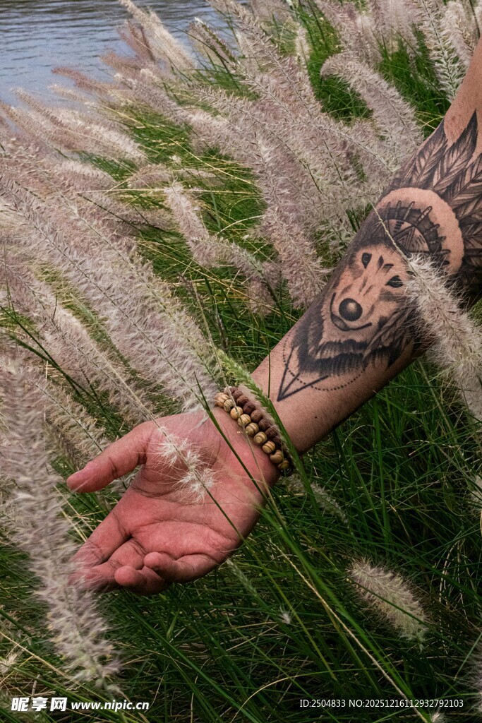 纹身手臂置于草丛中