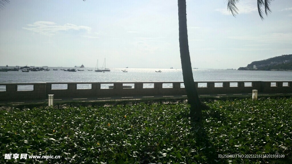 海边绿植与远处海景