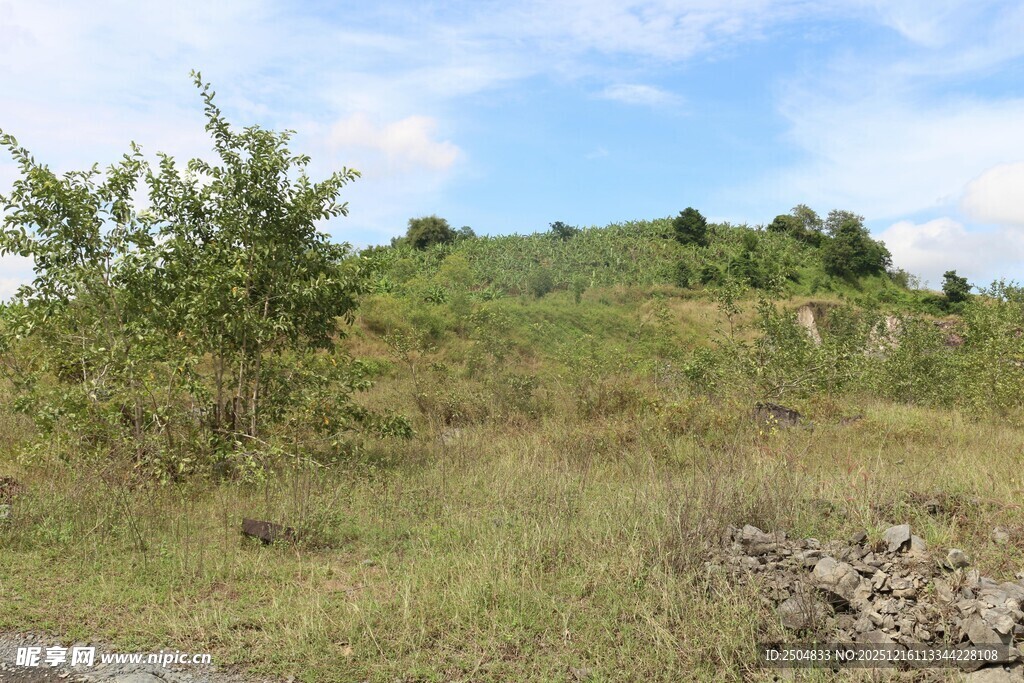 郊外绿意盎然的山坡景色