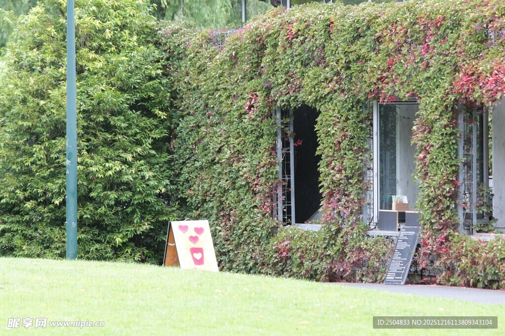 爬满绿植的古朴建筑窗户