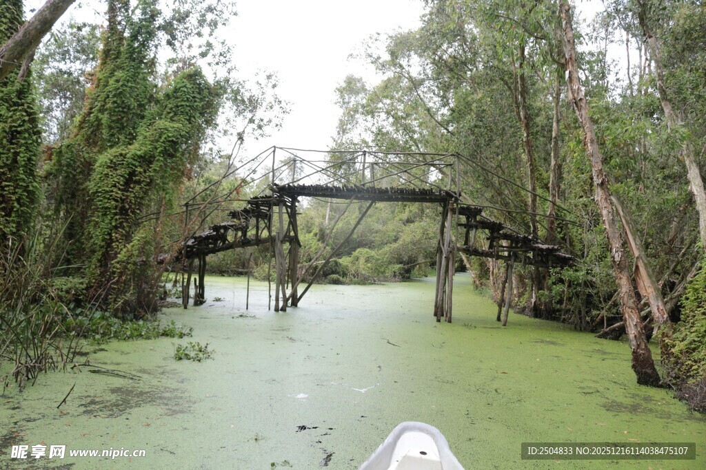 水上木桥 绿意盎然的河道