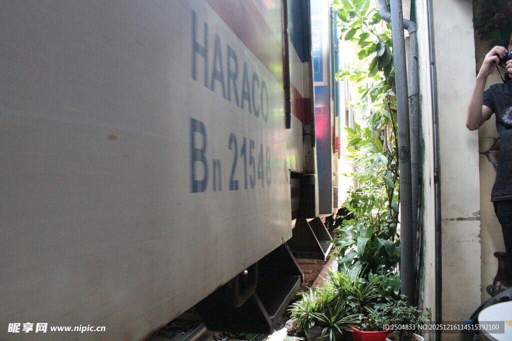 墙边猫咪好奇张望