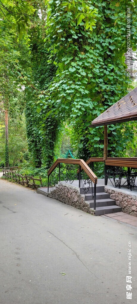 林间休憩亭 静谧自然景