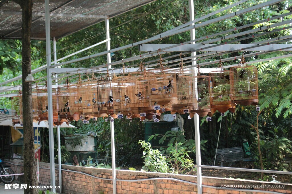 多层立体式家禽养殖棚