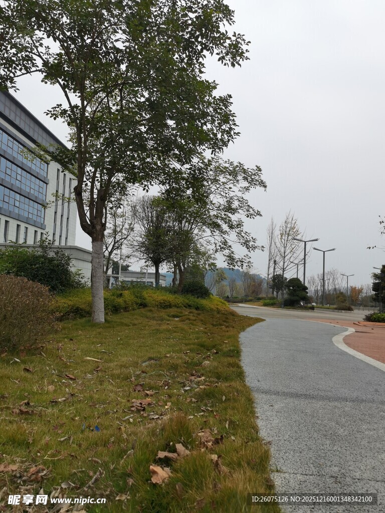 城郊小路旁的绿植与建筑