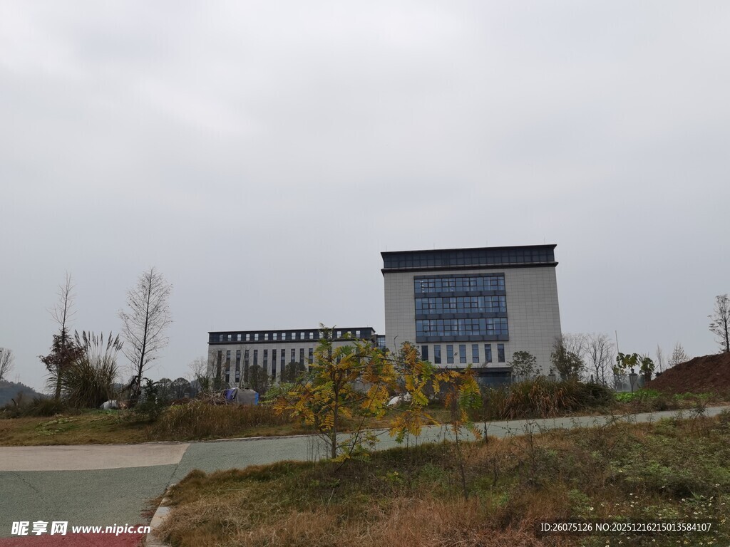 现代建筑旁的开阔户外景致