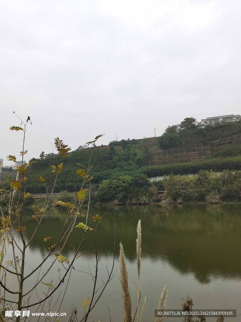 湖畔风光远山近水景色美