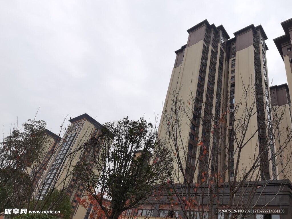高层住宅楼外观景象