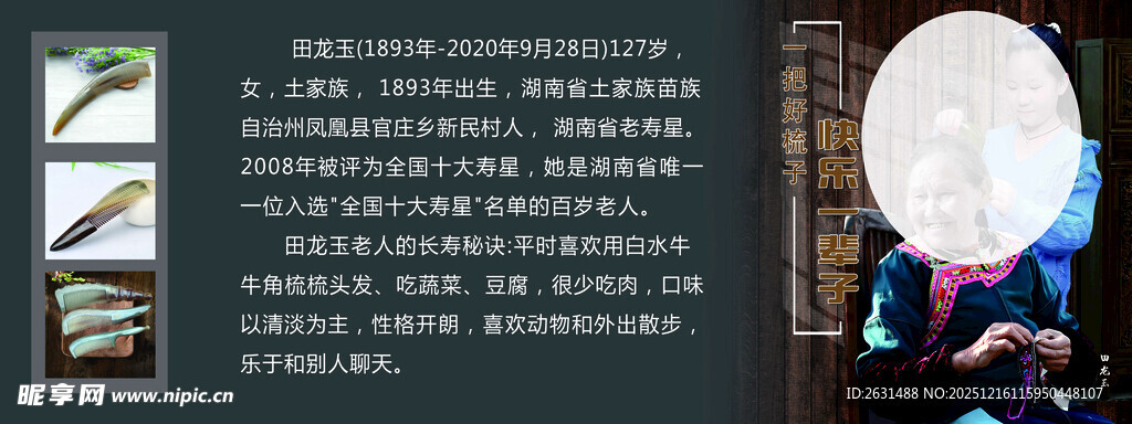 创意摄影展示多样艺术效果
