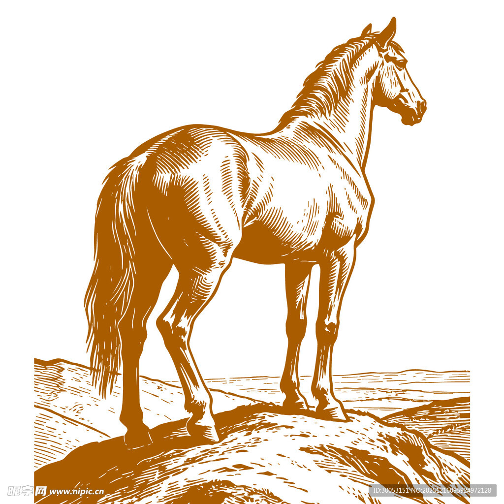 站立于岩石上的俊逸骏马