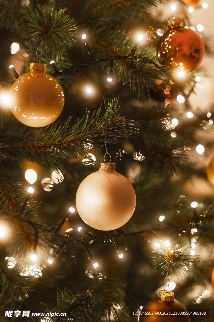 圣诞树上的璀璨装饰