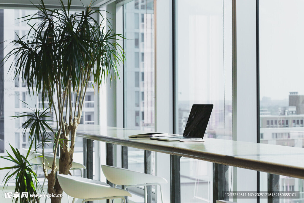 现代简约风办公窗边景致