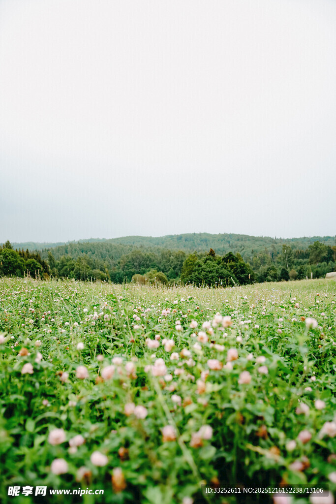 绿野繁花的自然美景