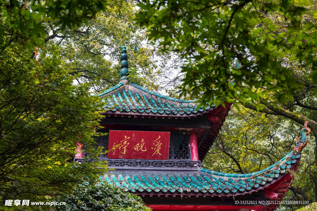 林中红亭 尽显古典韵味