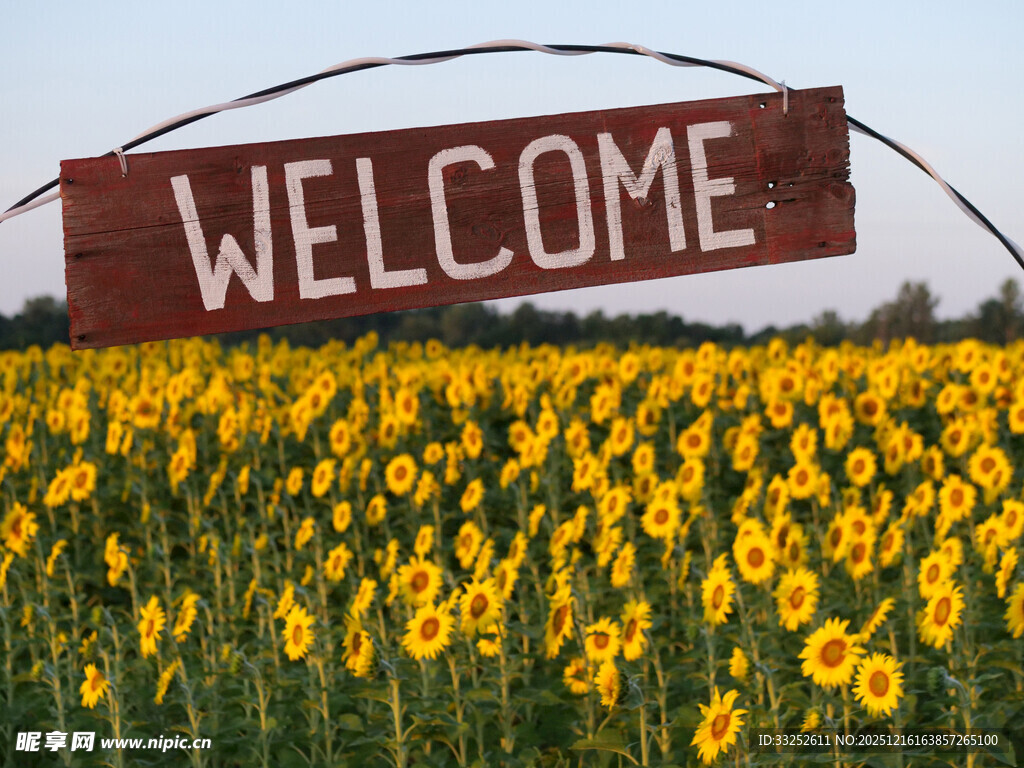 向日葵田中的欢迎标牌