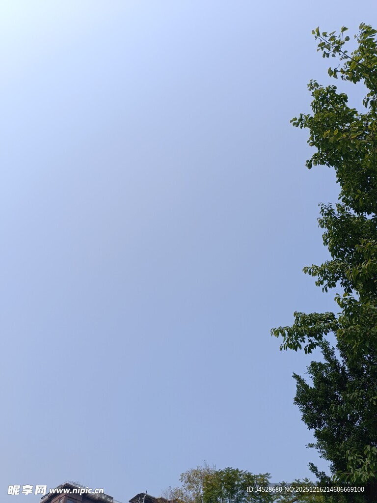 蓝天绿树旁的房屋一角