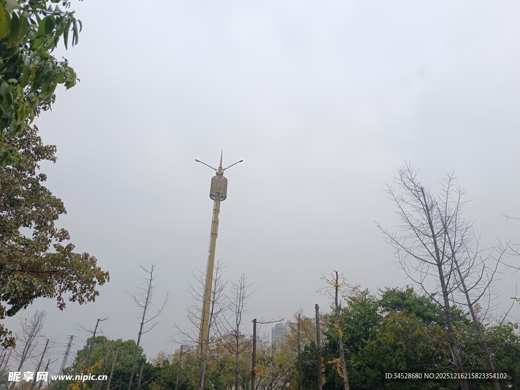 城市中的高耸电视塔景观