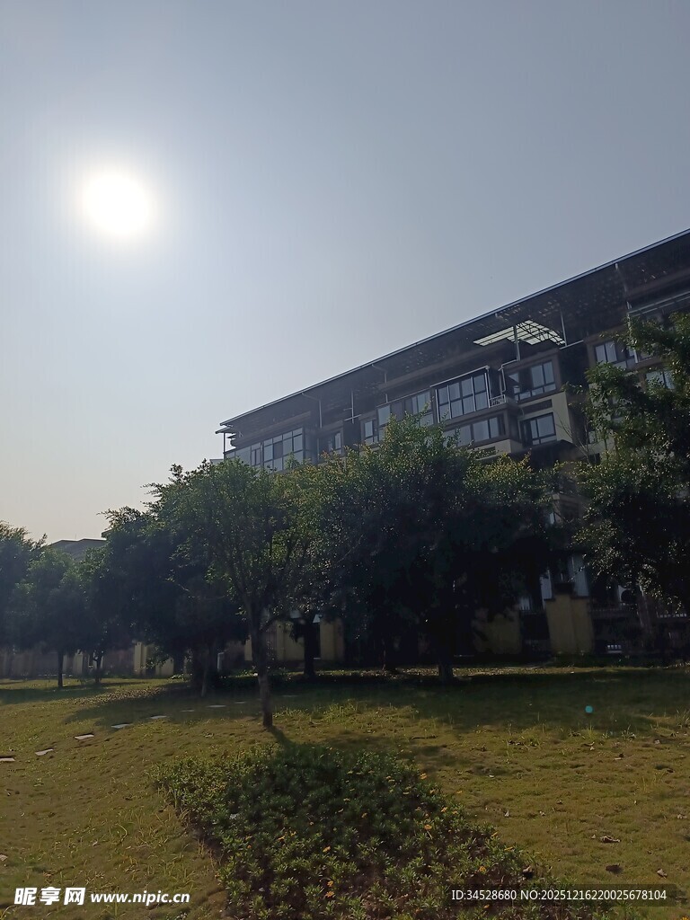 校园阳光下的建筑与绿地