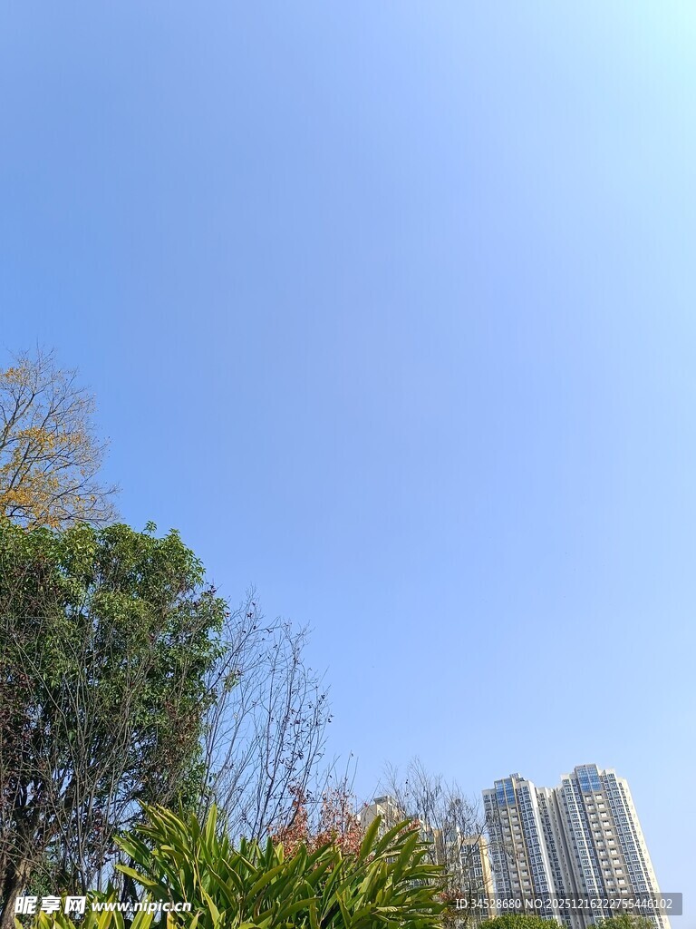 蓝天绿树旁的高楼景观