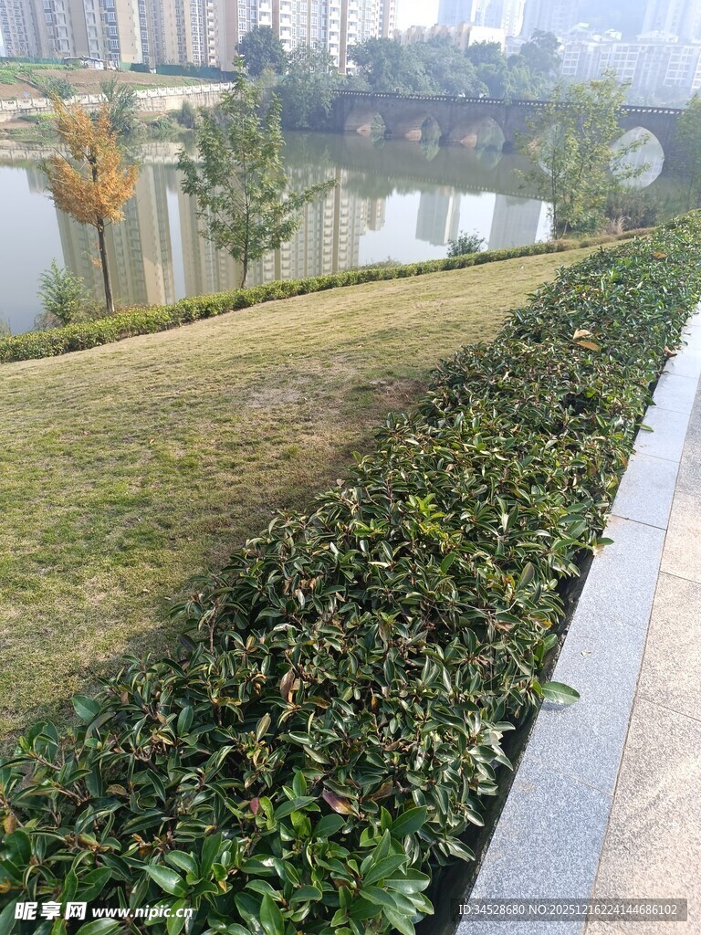 城市河畔绿植景观