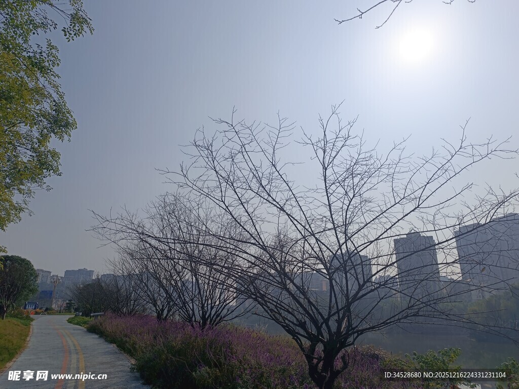 冬日城郊小路风景