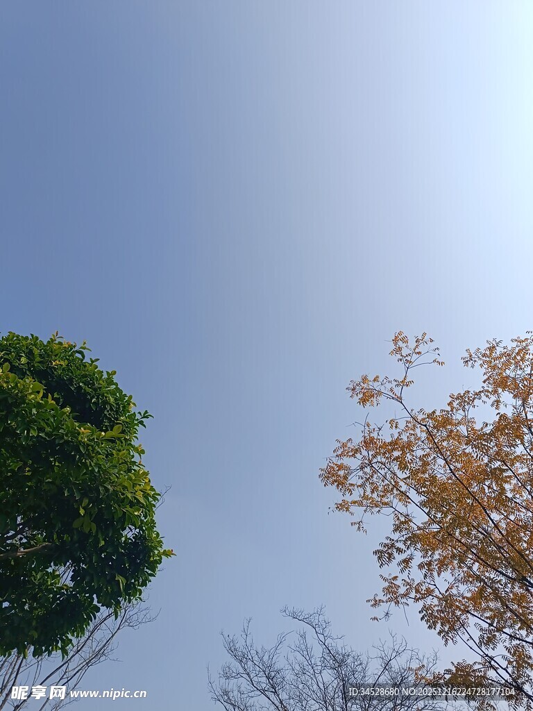 蓝天绿树间的自然景致