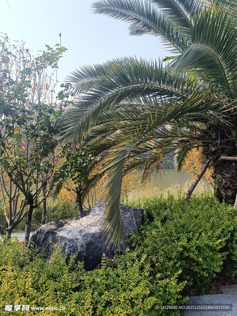 园林绿植景观一角