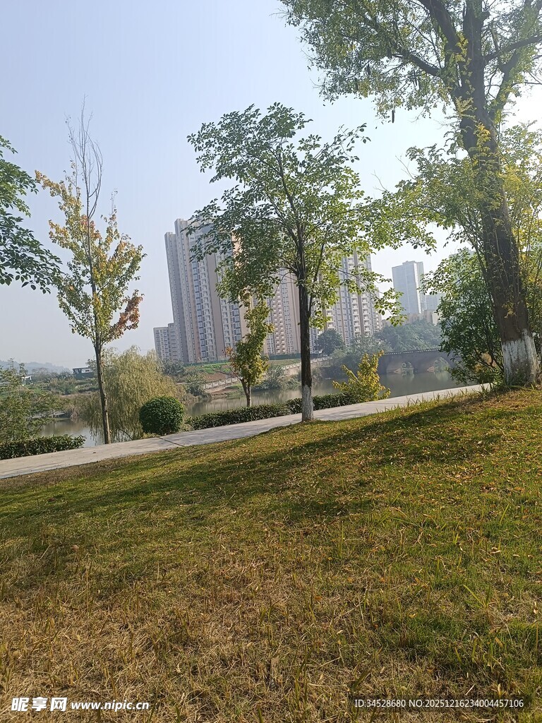 城市公园美景