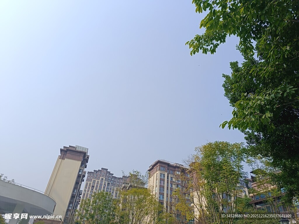 城市中林立的高楼与绿树