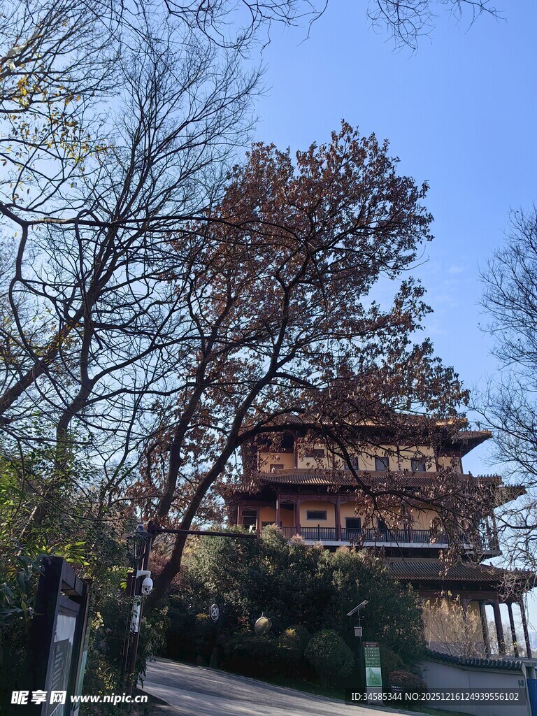 古建楼阁映于蓝天绿树间