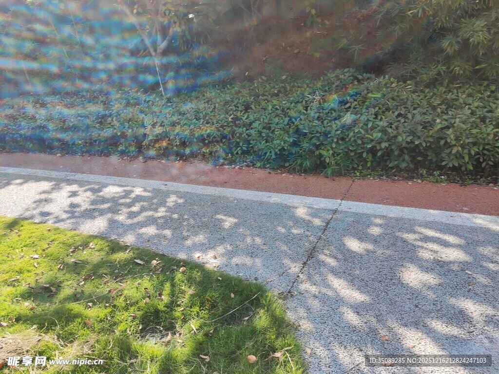 户外阳光洒落的石板小径