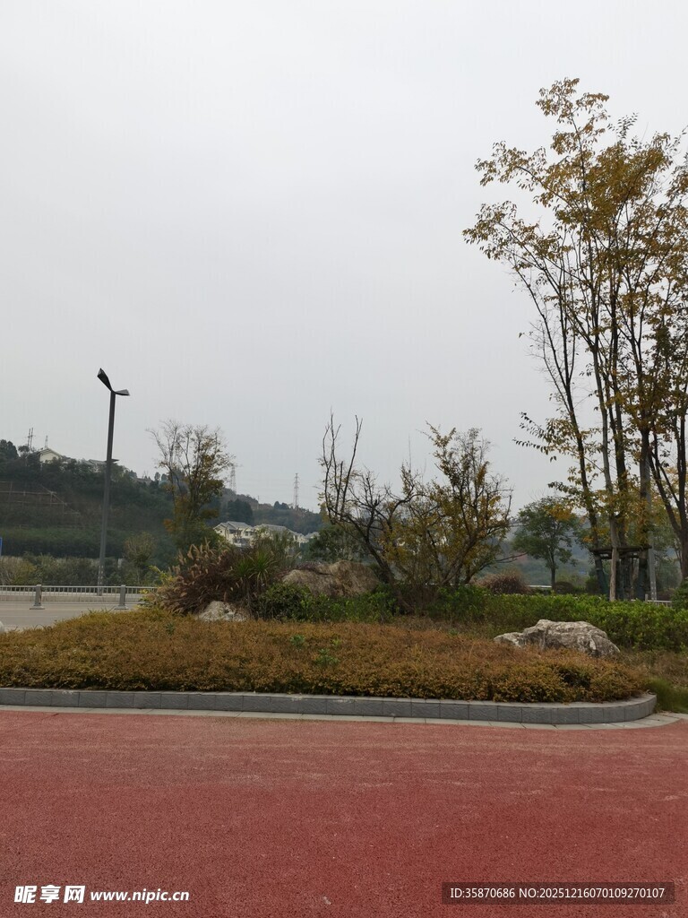 户外红色步道旁的绿植景观