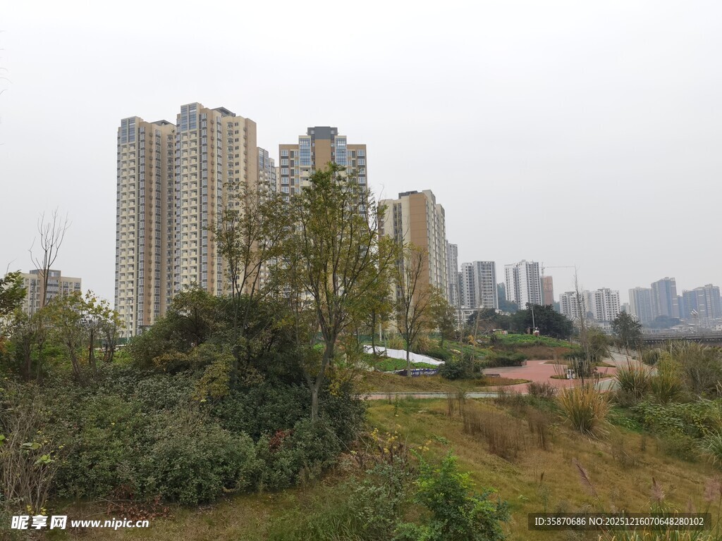 城郊高楼与绿植景观