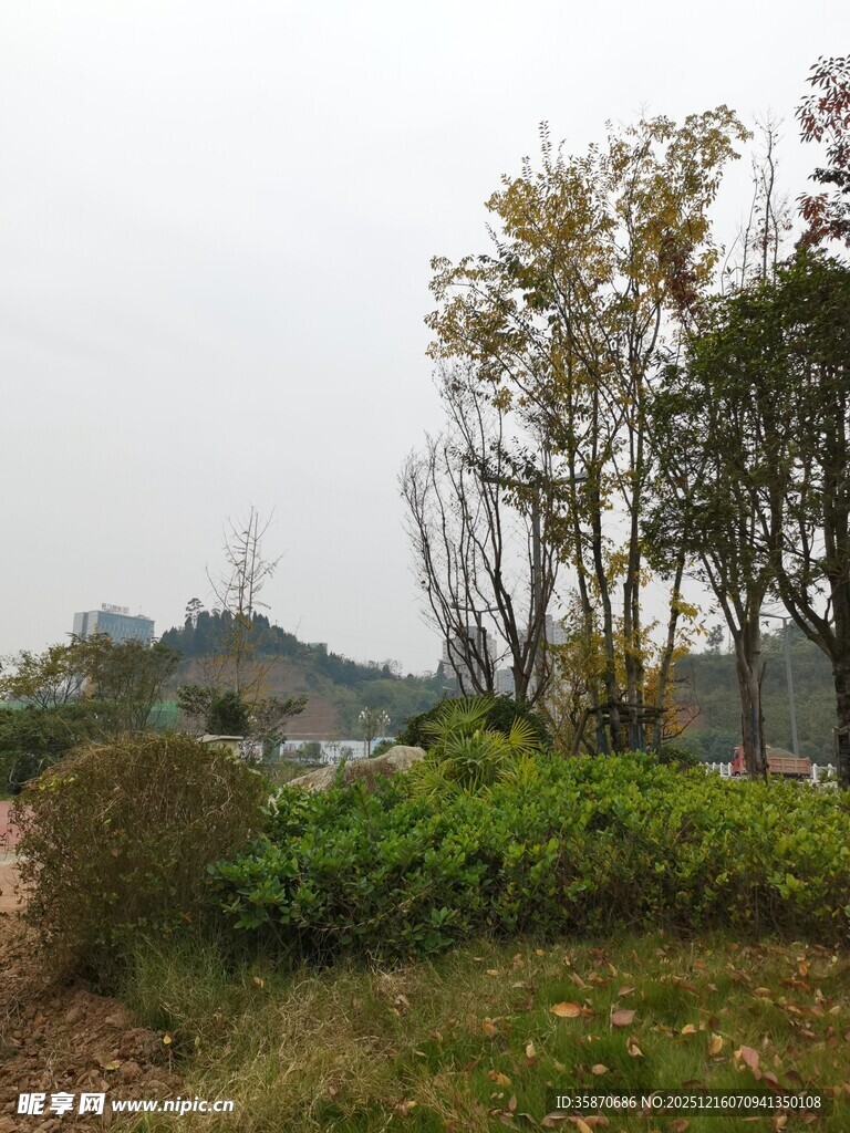 乡村自然风光景致