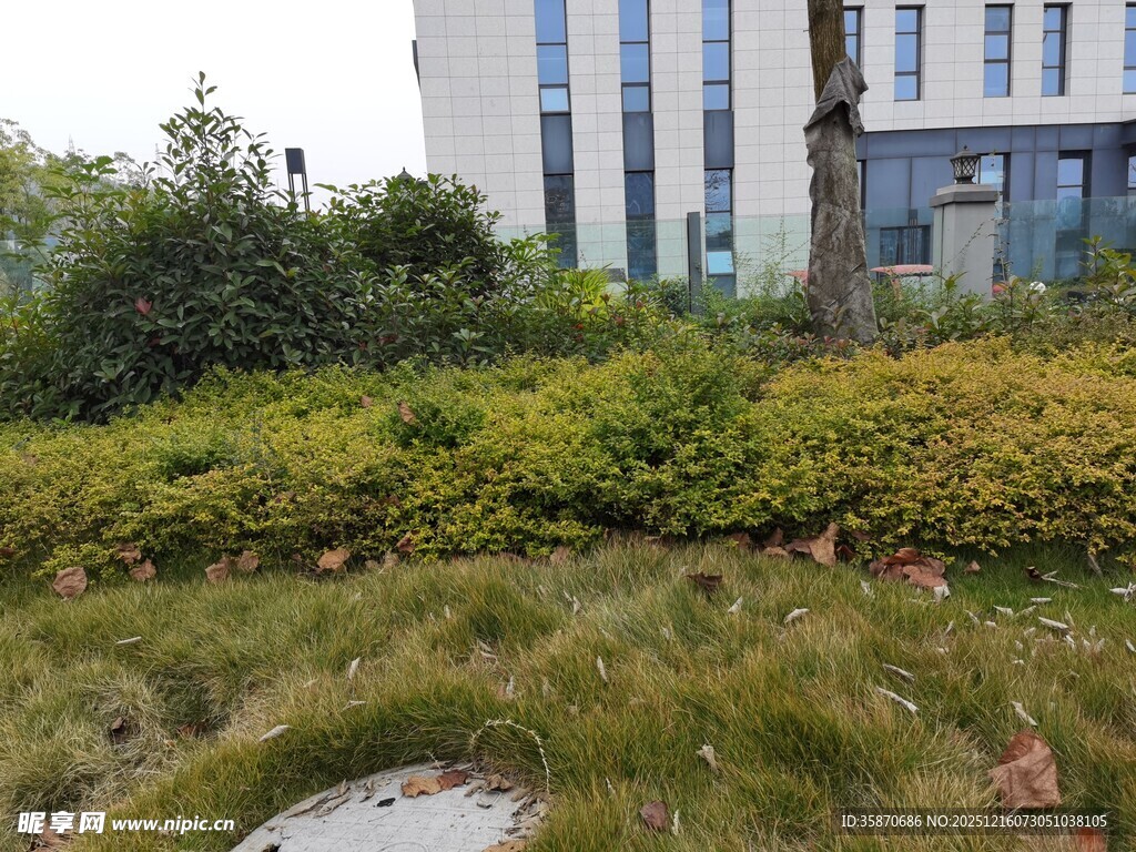 城市绿植环绕的建筑景观