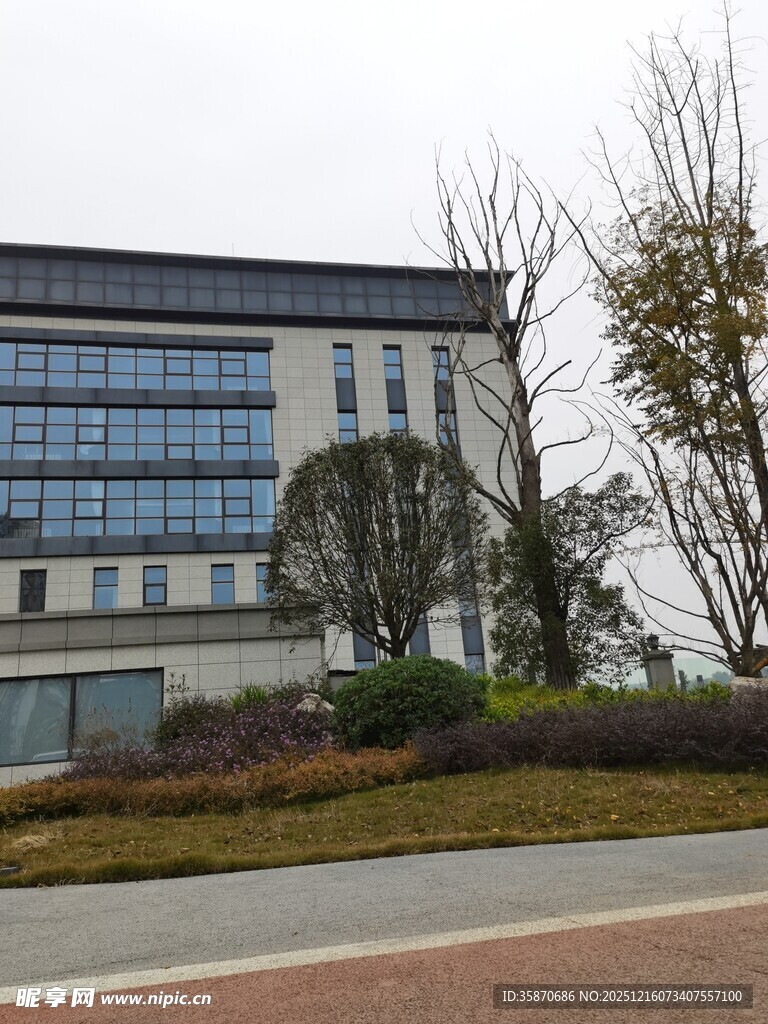 现代办公楼外观景观