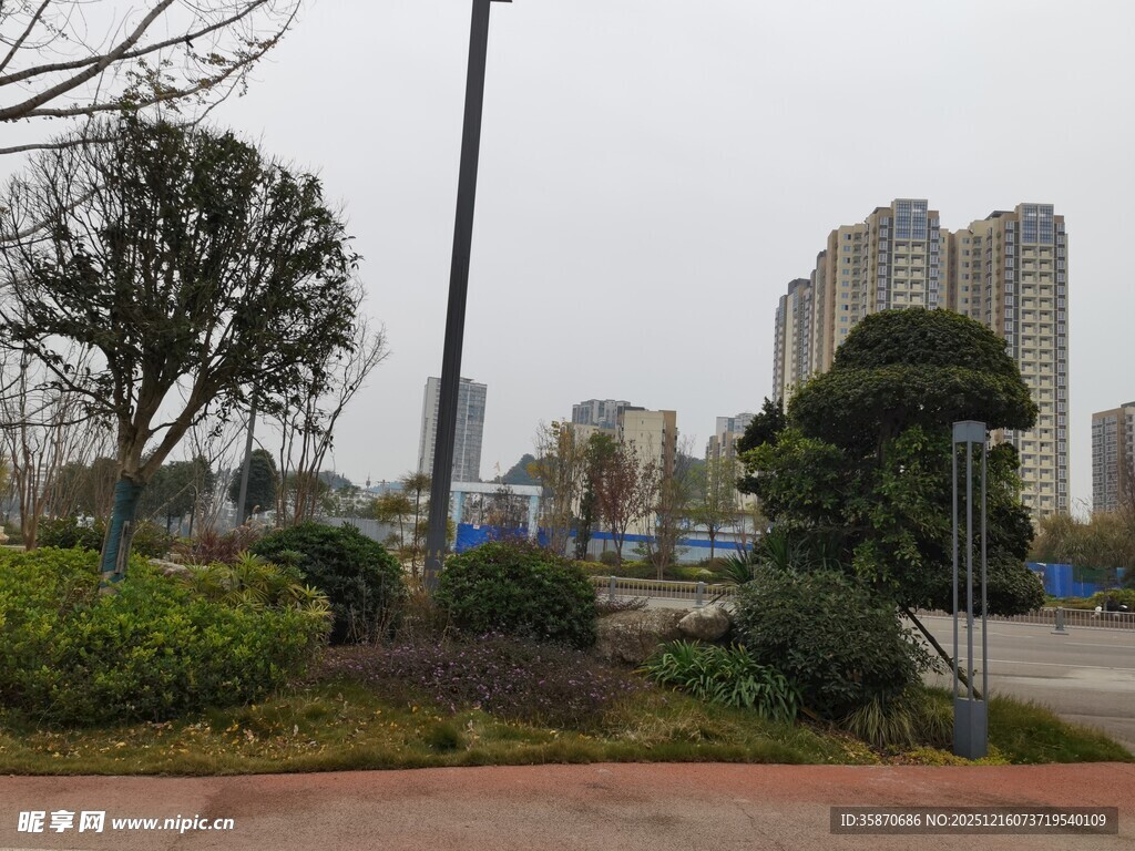 城市街边绿化景观