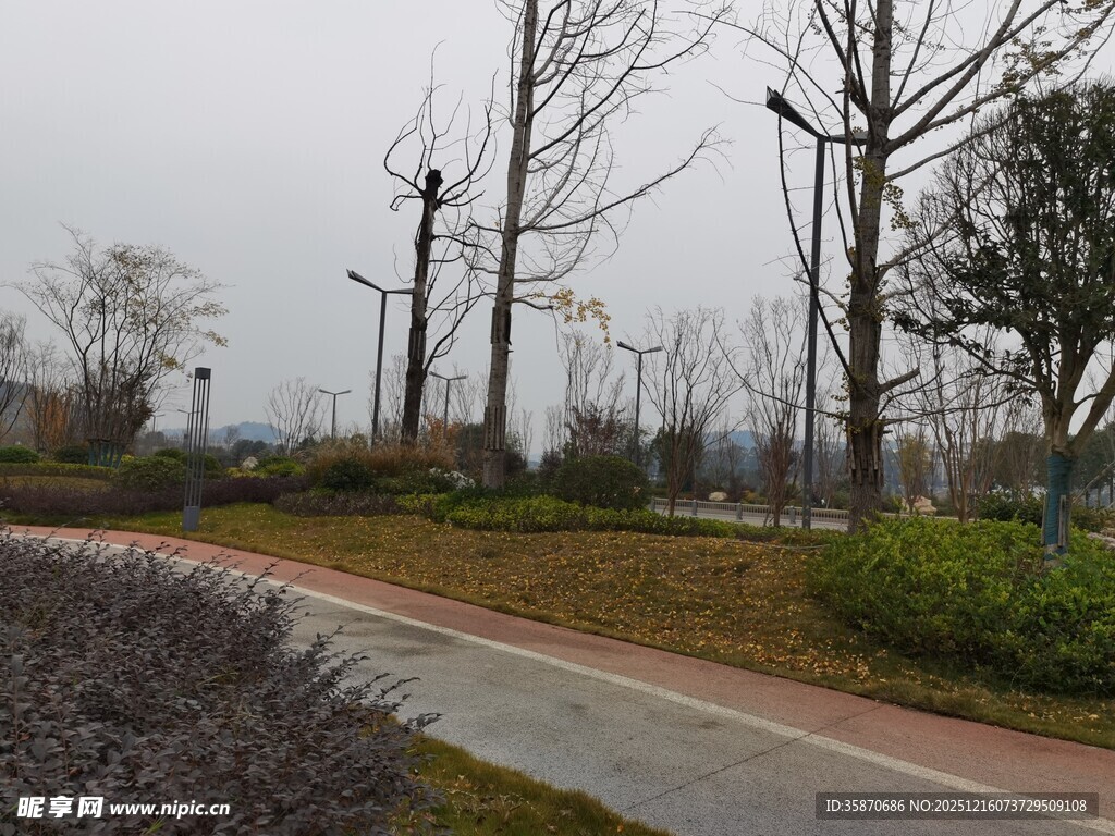 冬日公园的静谧小路