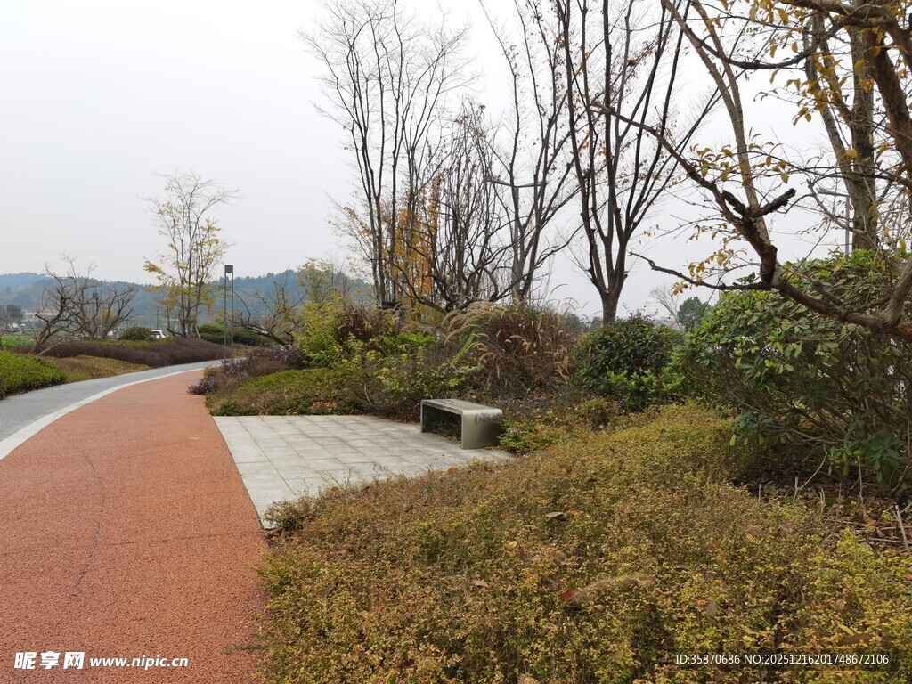 秋日公园小径景观