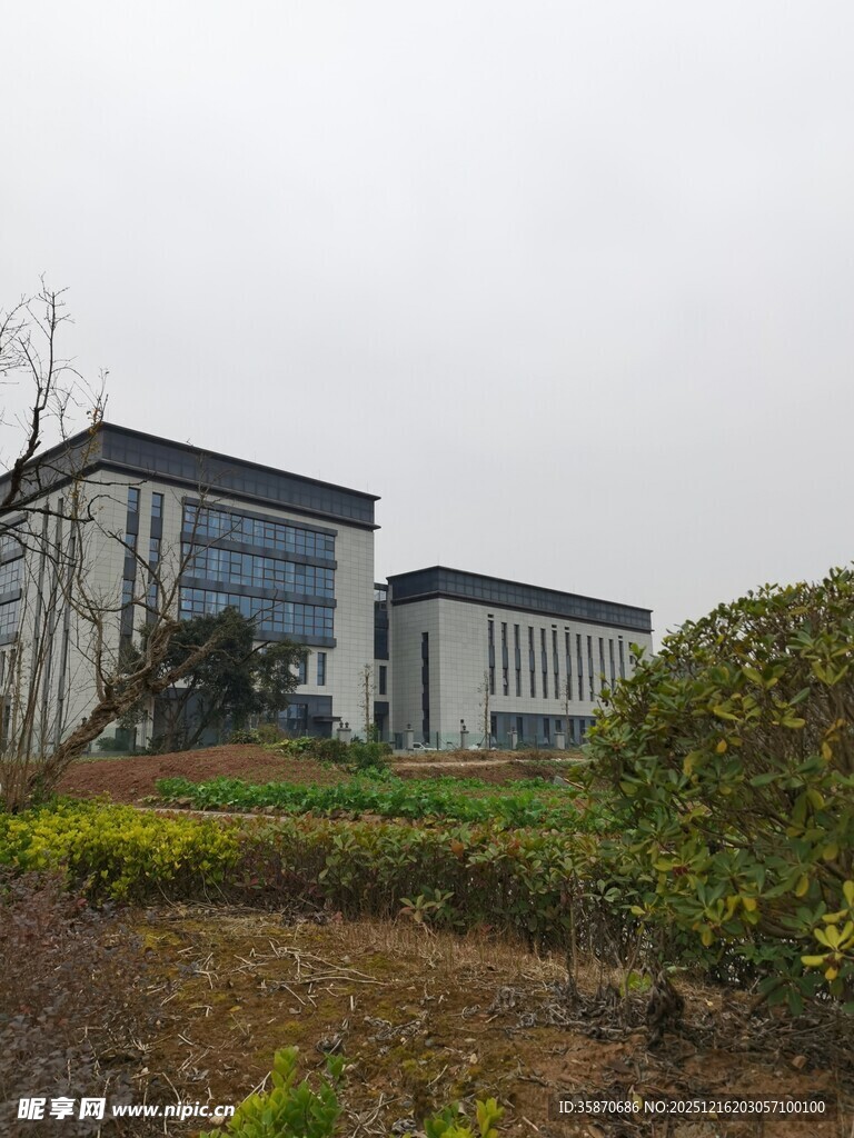 现代风格办公楼外景