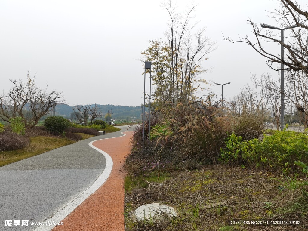 蜿蜒彩色步道自然景致