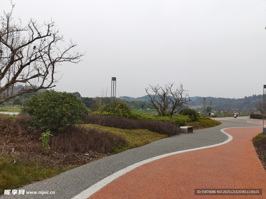 蜿蜒彩色步道周边景致美